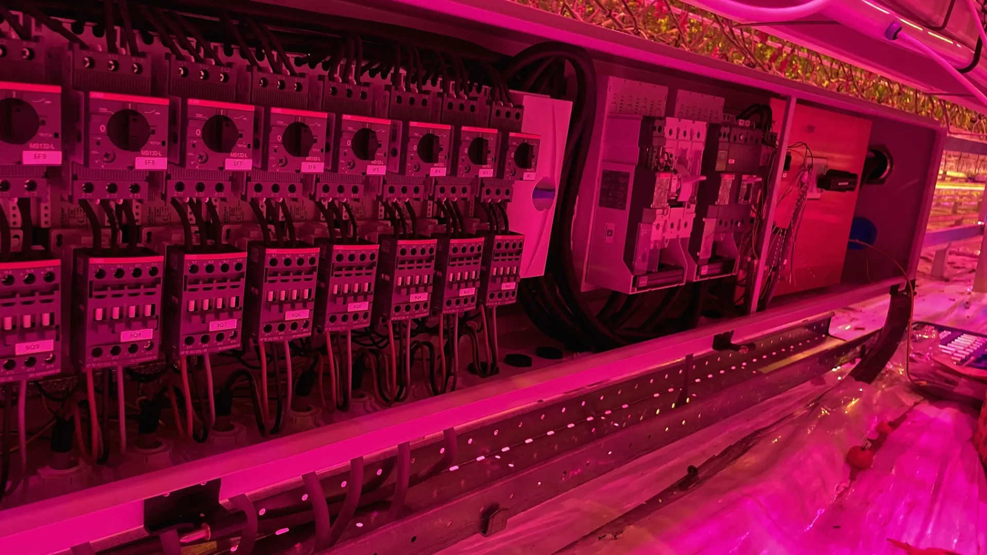 montaz-asimilacniho-osvetleni-v-plose-24-ha/4