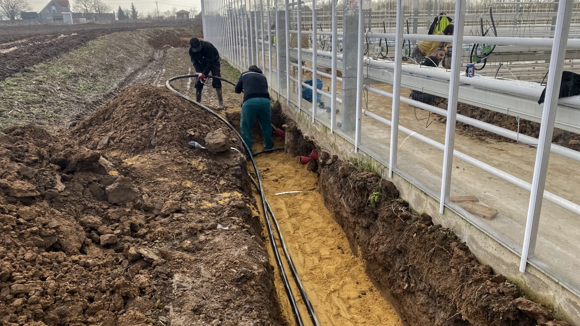 zemni-prace-dodavka-a-montaz-kabelaze-pro-asimilacni-osvetleni-sklenik-chornice/4