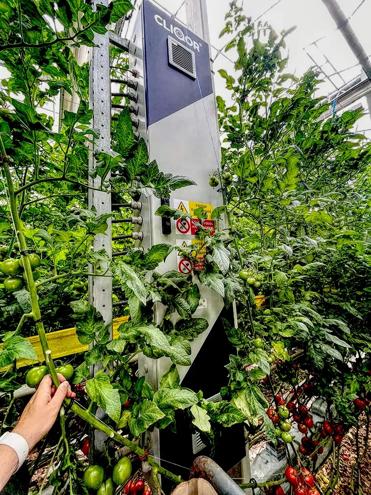 Modernizace světelných rozvaděčů SPL – Družstvo Bramko CZ