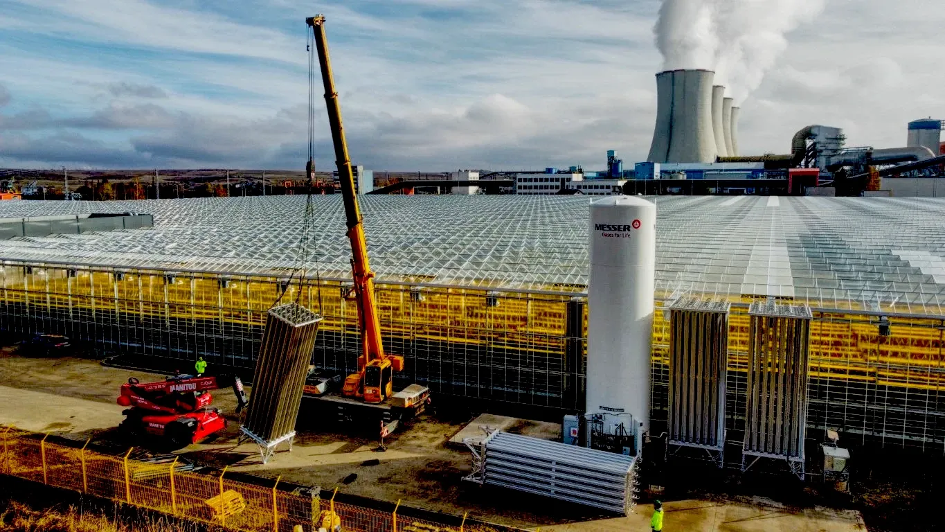 Zajištění služeb staveniště - Skleník etapa III (ČEZ Elektrárna Tušimice)